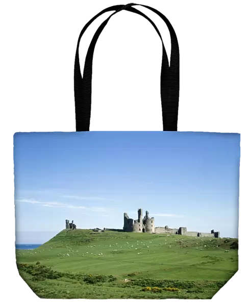 Dunstanburgh Castle K910295