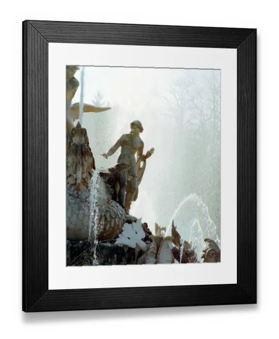 Framed Print : Witley Court fountain N060108