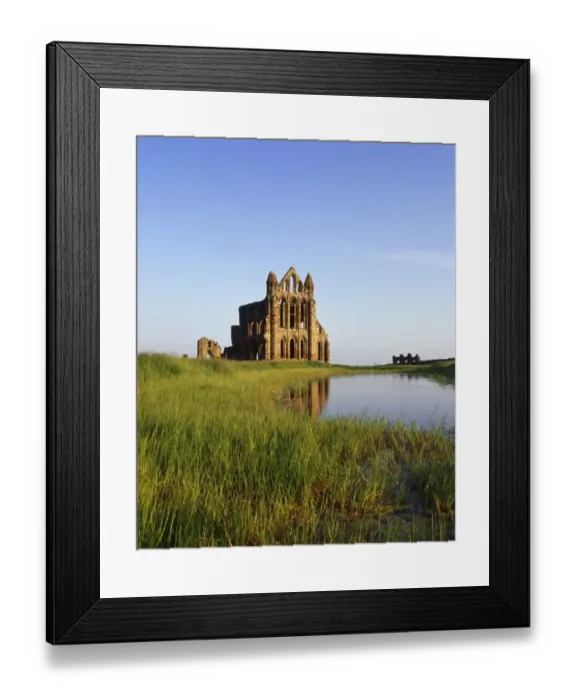 Framed Print : Whitby Abbey N070033