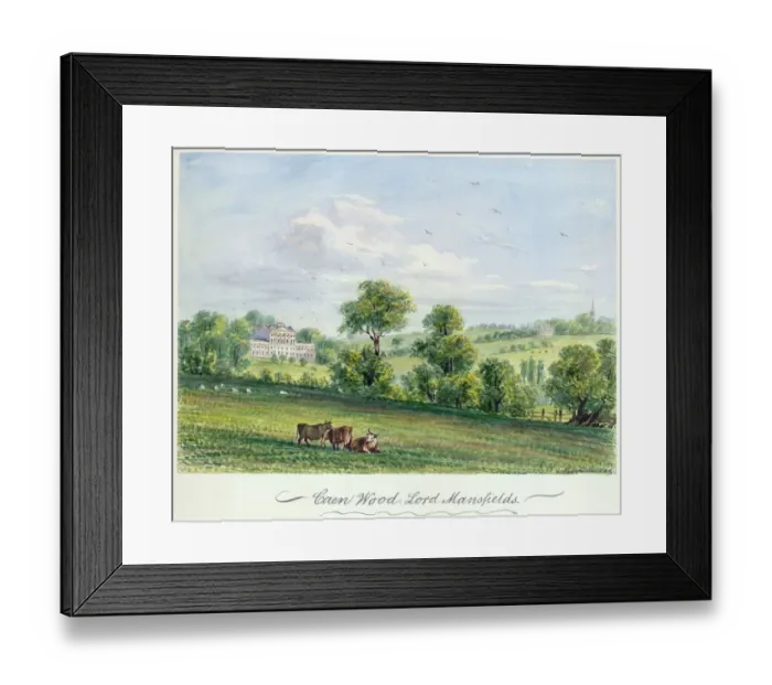 Framed Print : Matthews - Caen Wood N110151