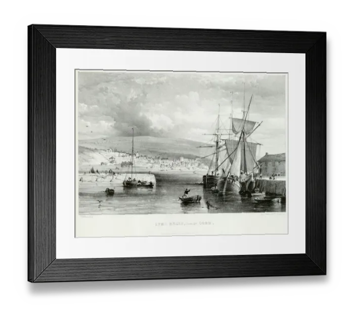 Framed Print : The Cobb, Lyme Regis N110167