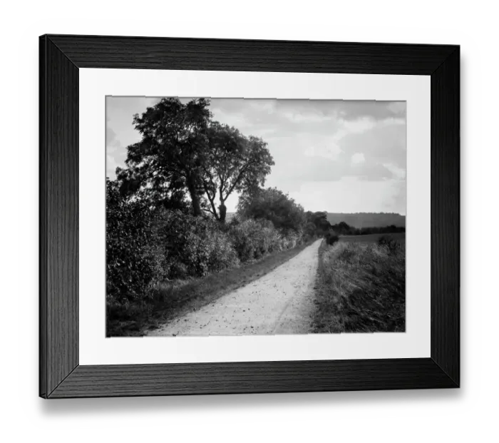 Framed Print : Hodcot Lane, West Ilsley CC97_02719