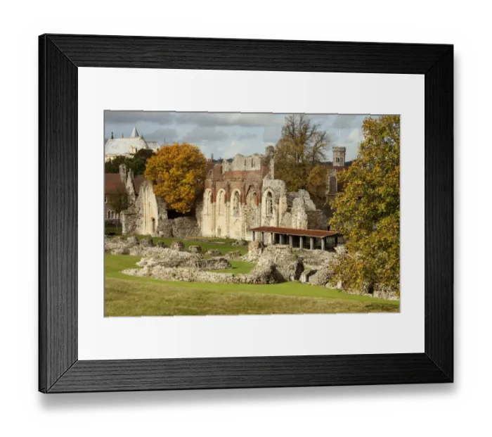 Framed Print : St Augustines Abbey N090776