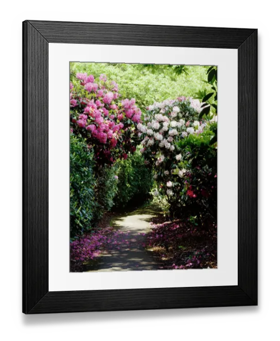Framed Print : Kenwood House gardens K000654