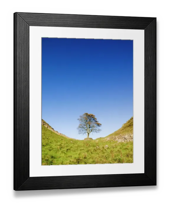 Framed Print : Hadrians Wall N060721