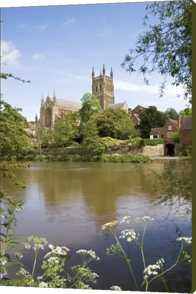 Worcester Cathedral N060747