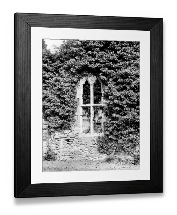 Framed Print : Netley Abbey CC56_00897