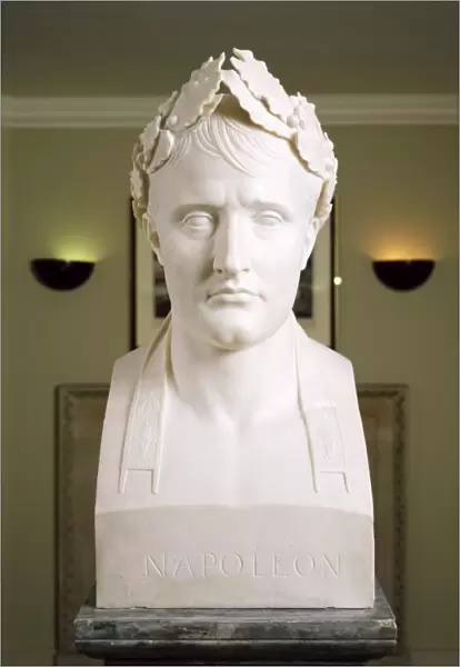 Bust of Napoleon J890110