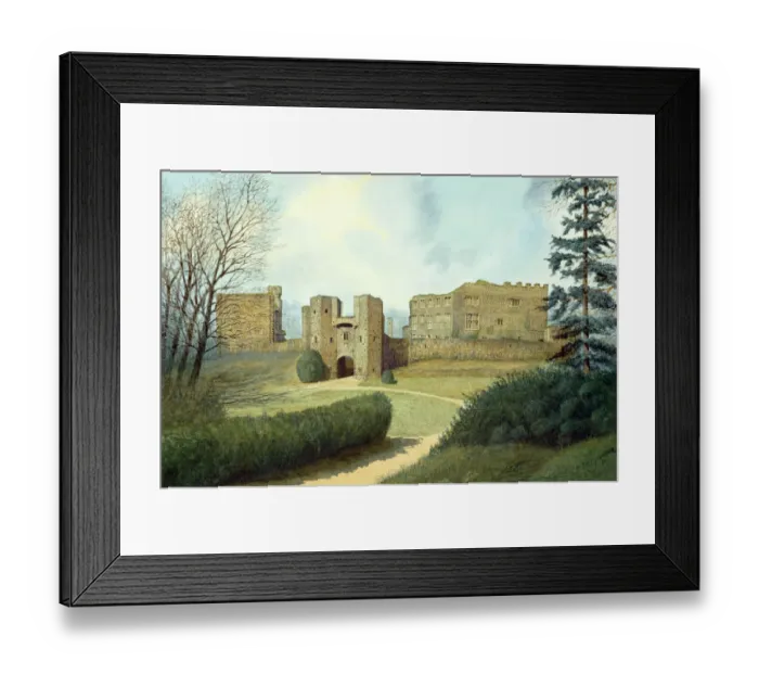 Framed Print : Berry Pomeroy Castle J860421