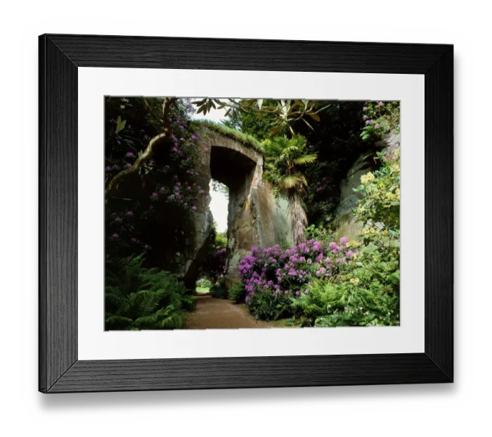 Framed Print : Belsay Quarry Garden K021165