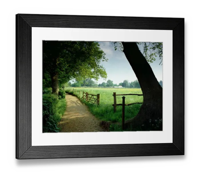Framed Print : Down House Sandwalk K000185