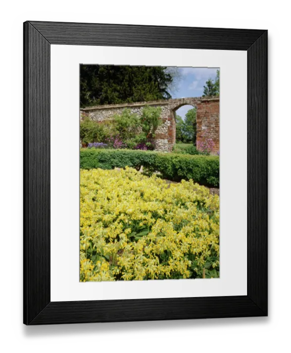 Framed Print : Down House gardens K030470