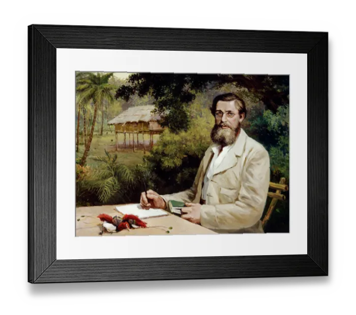 Framed Print : Evstafieff - A R Wallace J970179 Framed Print : Evstafieff - A R Wallace J970179