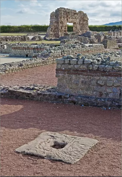 Wroxeter Roman City N110312