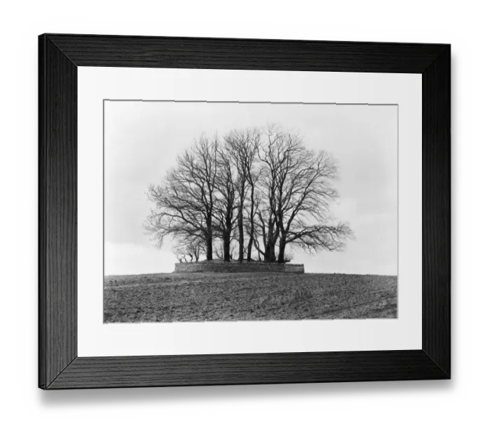 Framed Print : Barrow CC73_00066