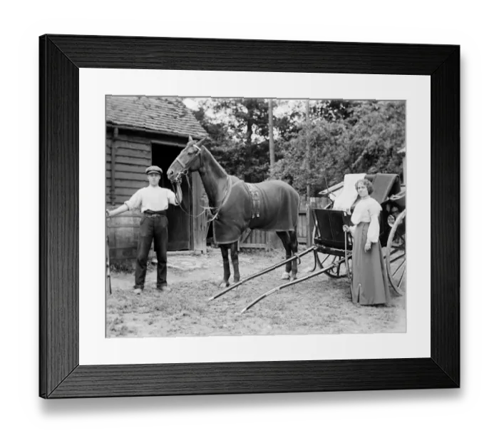 Framed Print : Horse and Trap BB98_10628 Framed Print : Horse and Trap BB98_10628