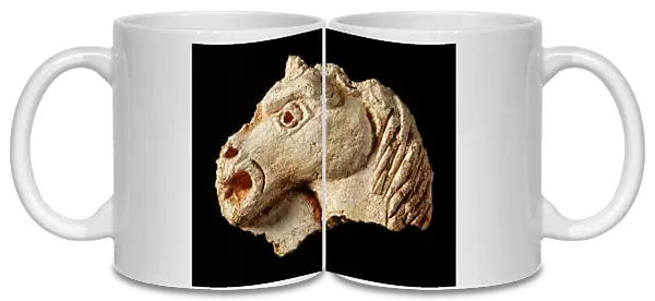 Plaster fragment of a horses head, Berry Pomeroy Castle J920689