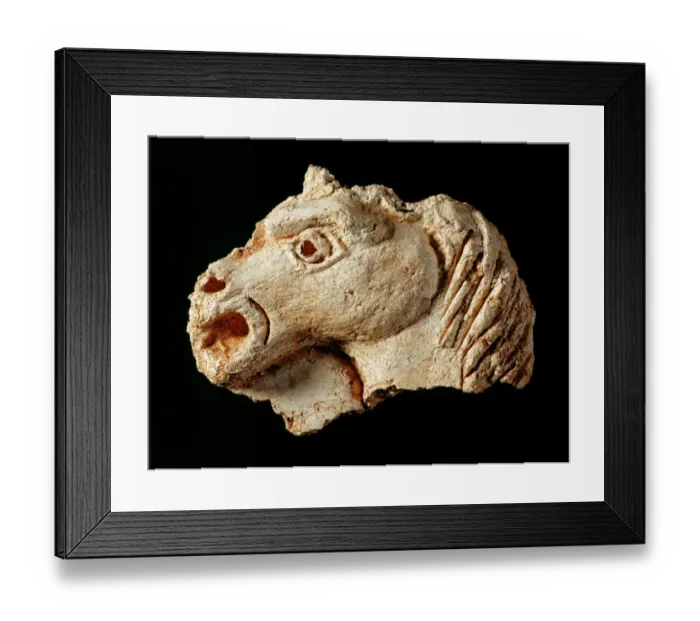 Framed Print : Plaster fragment of a horses head, Berry Pomeroy Castle J920689