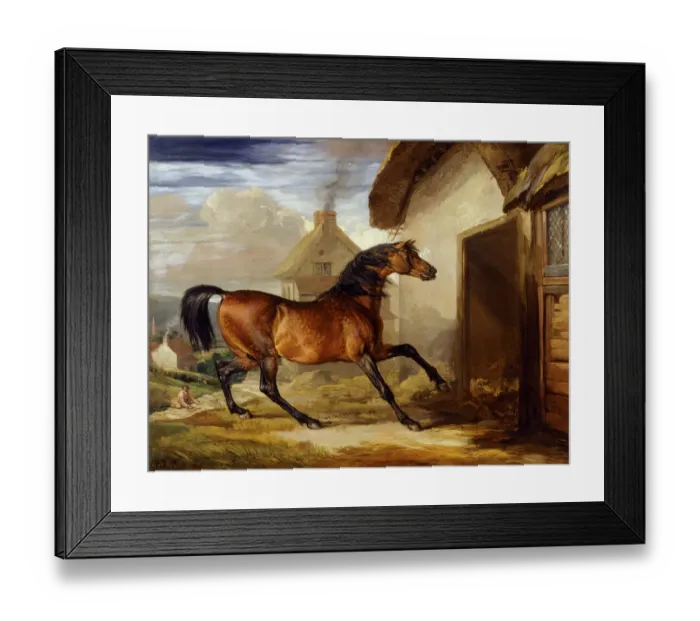 Framed Print : Ward - Walton J940246