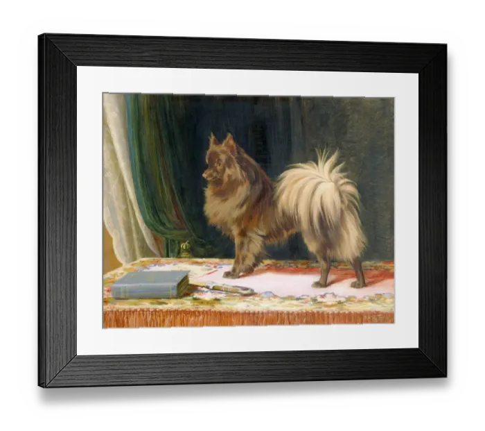 Framed Print : Trood - Portrait of Prairie Prince K941062 Framed Print : Trood - Portrait of Prairie Prince K941062