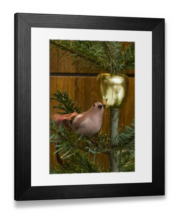 Framed Print : Christmas decorations DP020195