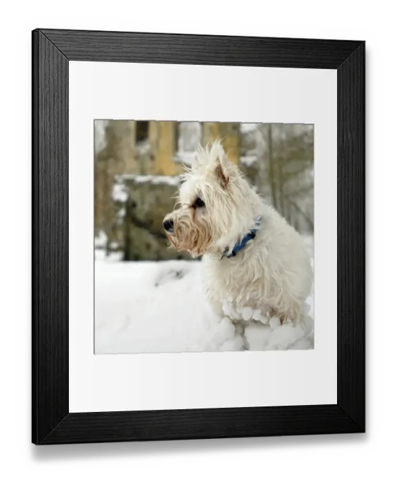 Framed Print : Minster Lovell Hall N070395 Framed Print : Minster Lovell Hall N070395