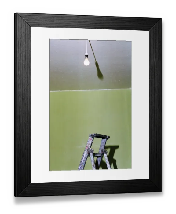 Framed Print : Bulb and ladder a96_05973 Framed Print : Bulb and ladder a96_05973