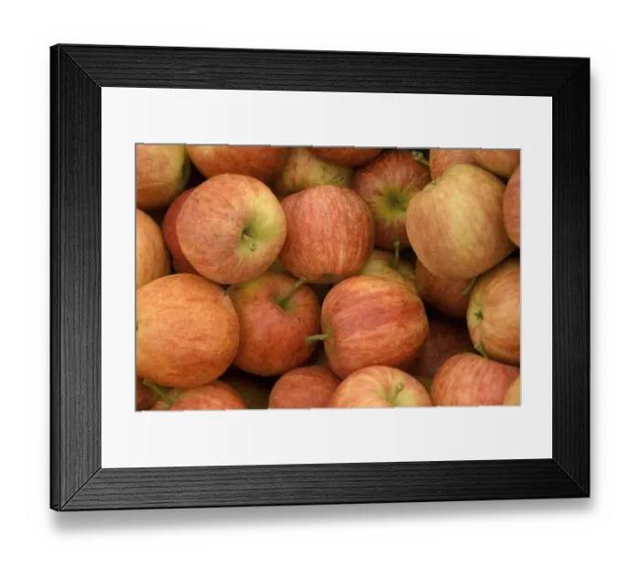 Framed Print : Apples N070882