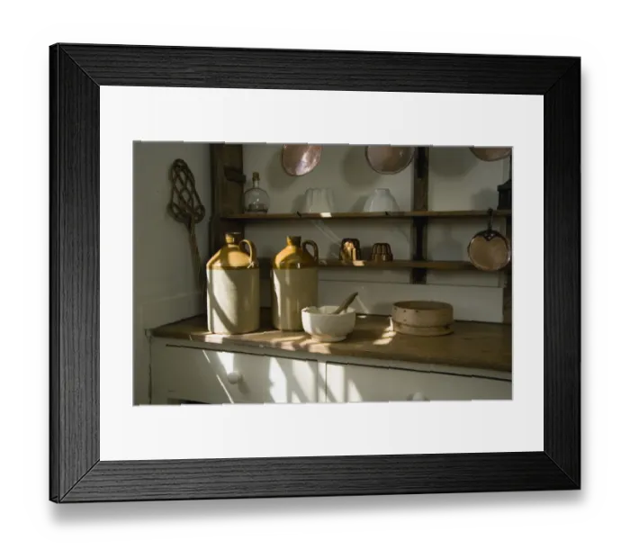Framed Print : Audley End House N070940