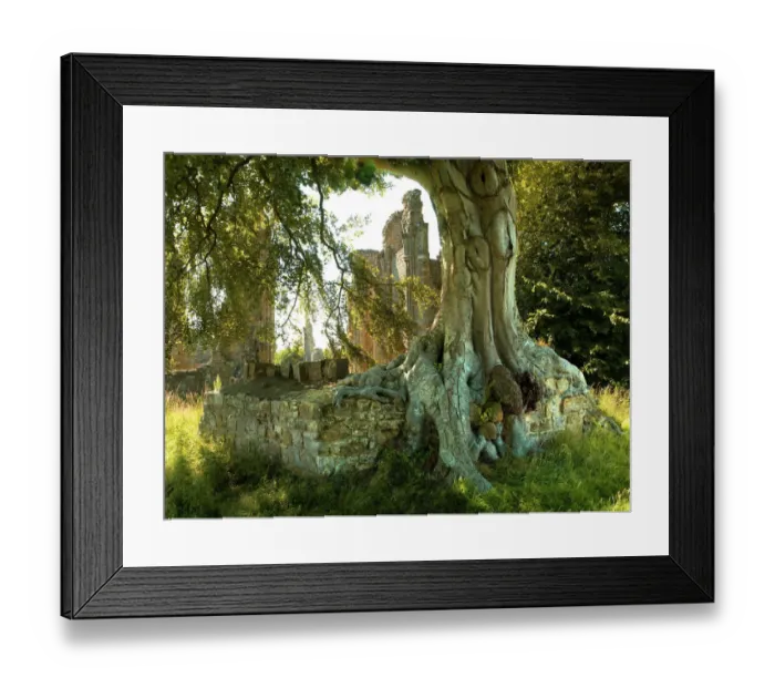 Framed Print : Bayham Old Abbey N000025