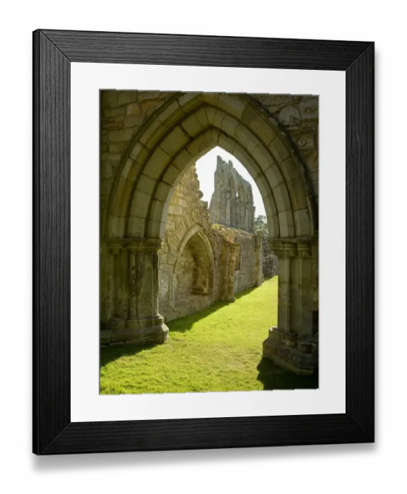 Framed Print : Bayham Old Abbey N000035