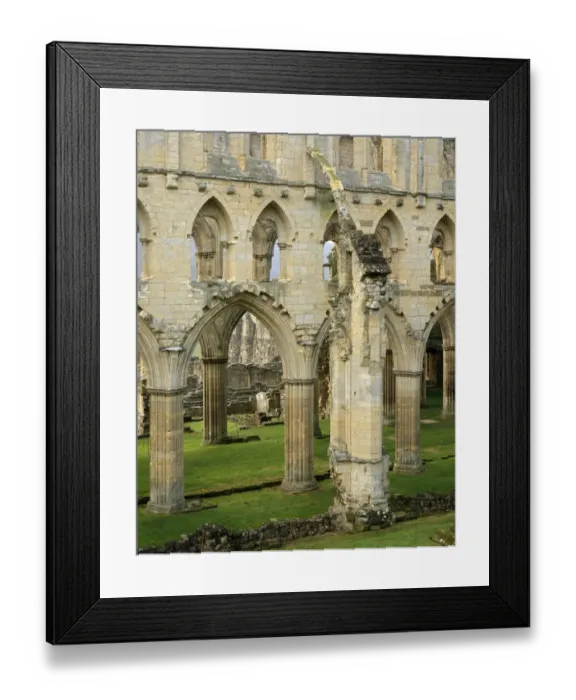 Framed Print : Rievaulx Abbey J060225