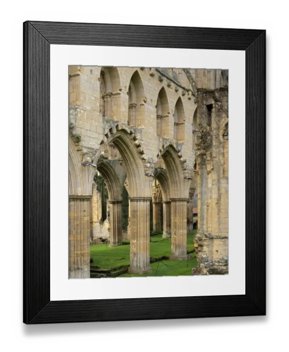 Framed Print : Rievaulx Abbey J060224