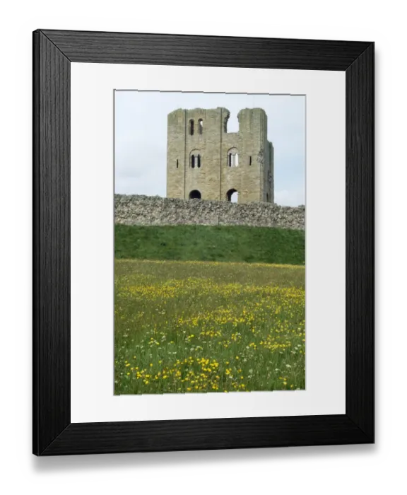 Framed Print : Scarborough Castle M000466