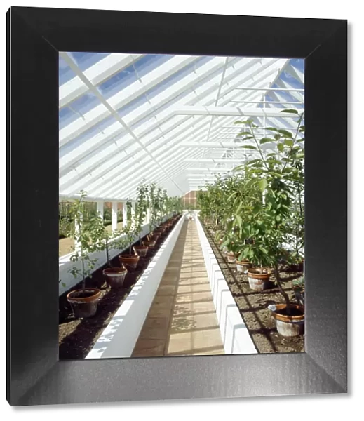 Greenhouse K010734