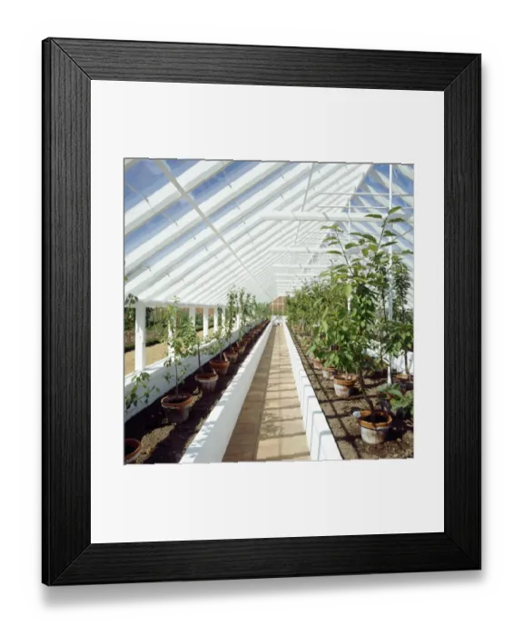 Framed Print : Greenhouse K010734