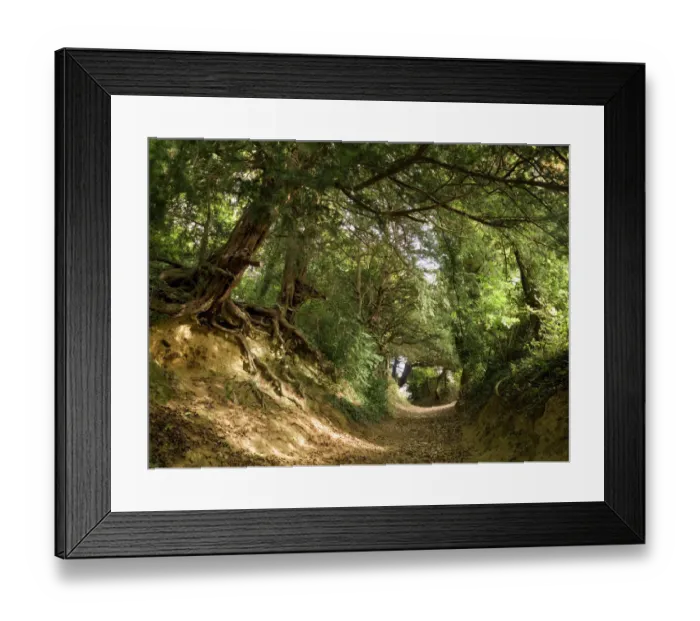 Framed Print : Country lane N070968
