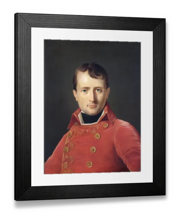 Framed Print : Dabos - Napoleon Bonaparte N070686