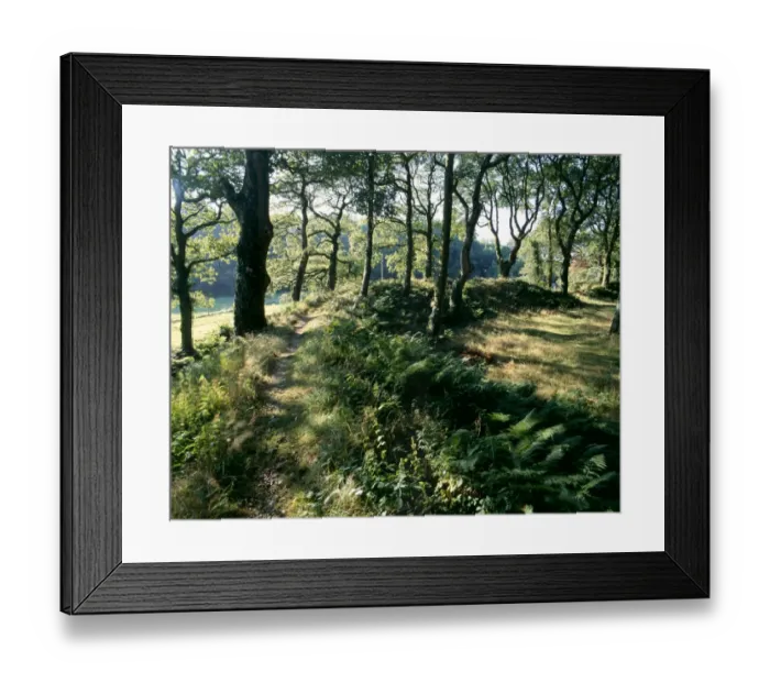 Framed Print : Blackbury Camp K030974
