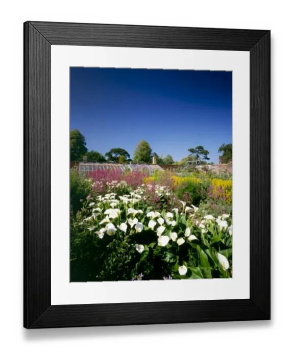 Framed Print : Osborne House gardens K040246
