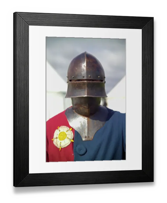 Framed Print : Knight N050013