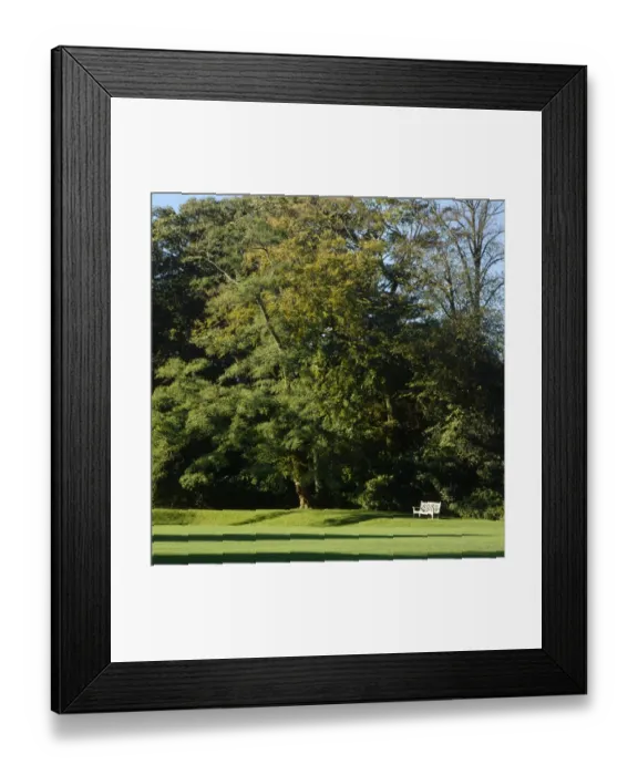 Framed Print : Walmer Castle Gardens K011579