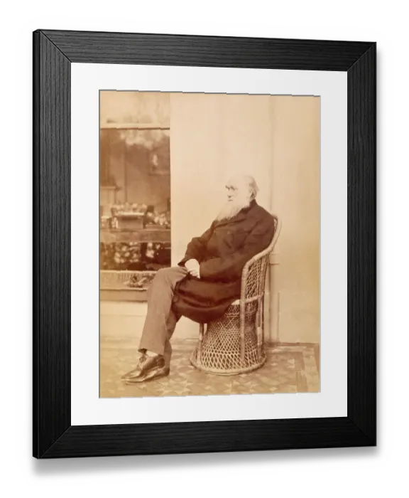 Framed Print : Charles Darwin on the verandah at Down House K970226