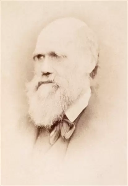 Charles Darwin K970234