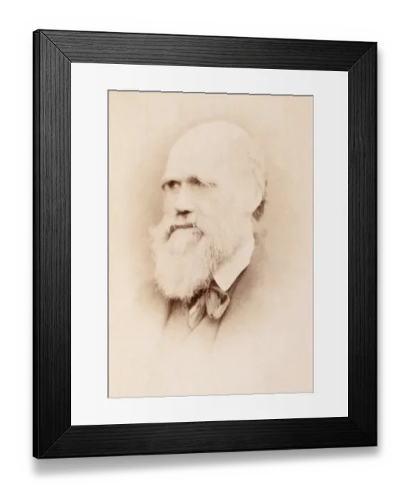 Framed Print : Charles Darwin K970234 Framed Print : Charles Darwin K970234