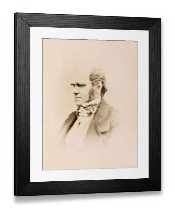 Framed Print : Charles Darwin K970235