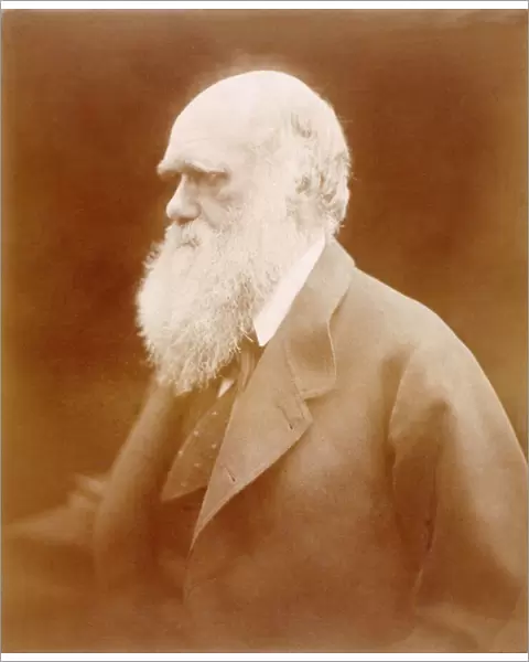 Charles Darwin K980352
