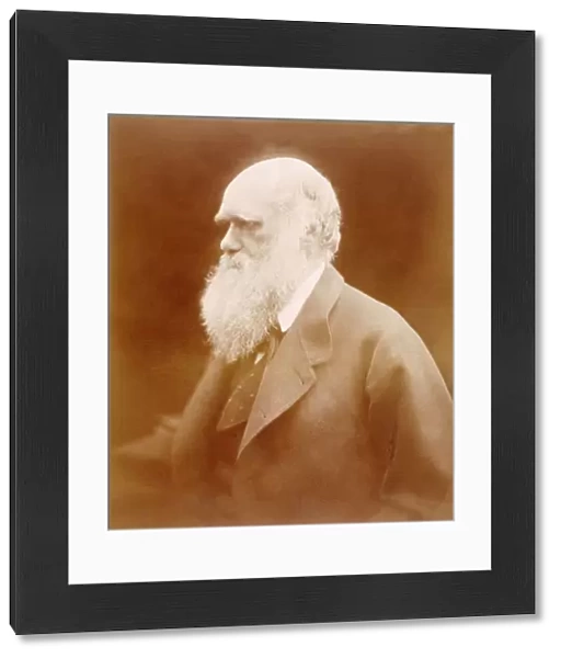 Charles Darwin K980352