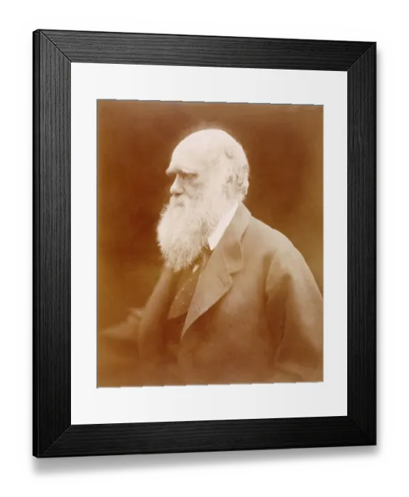 Framed Print : Charles Darwin K980352 Framed Print : Charles Darwin K980352