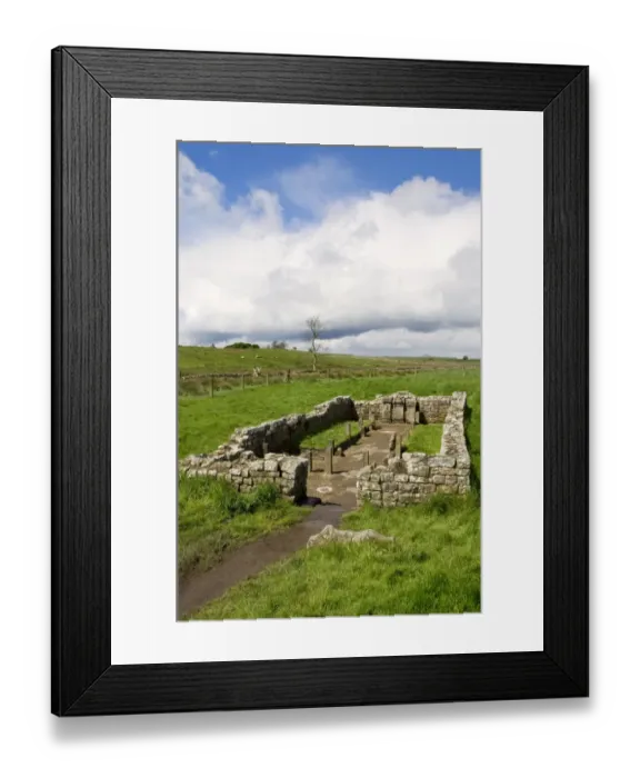 Framed Print : Temple of Mithras N070982